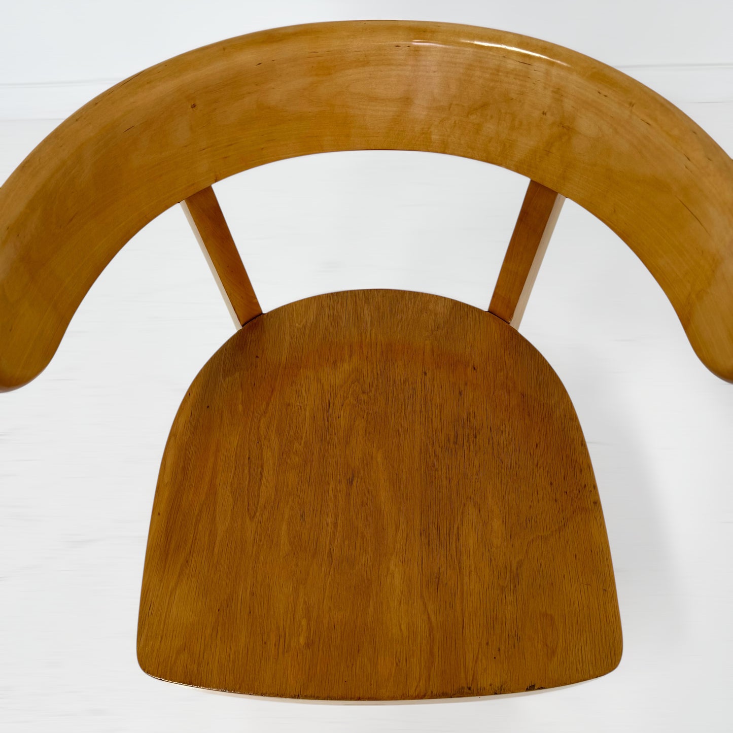 Werner West ダイニングチェア