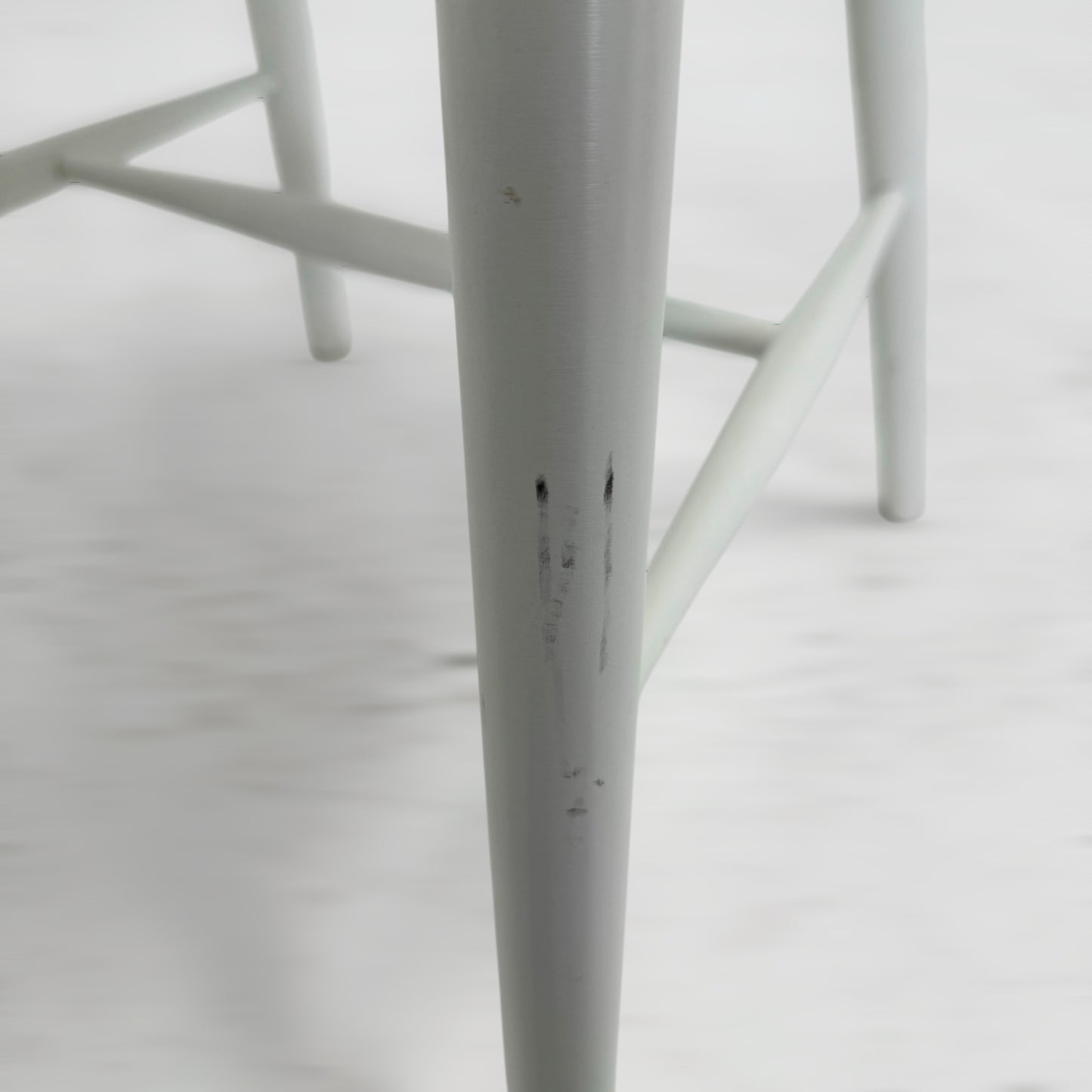 右後脚汚れ有り