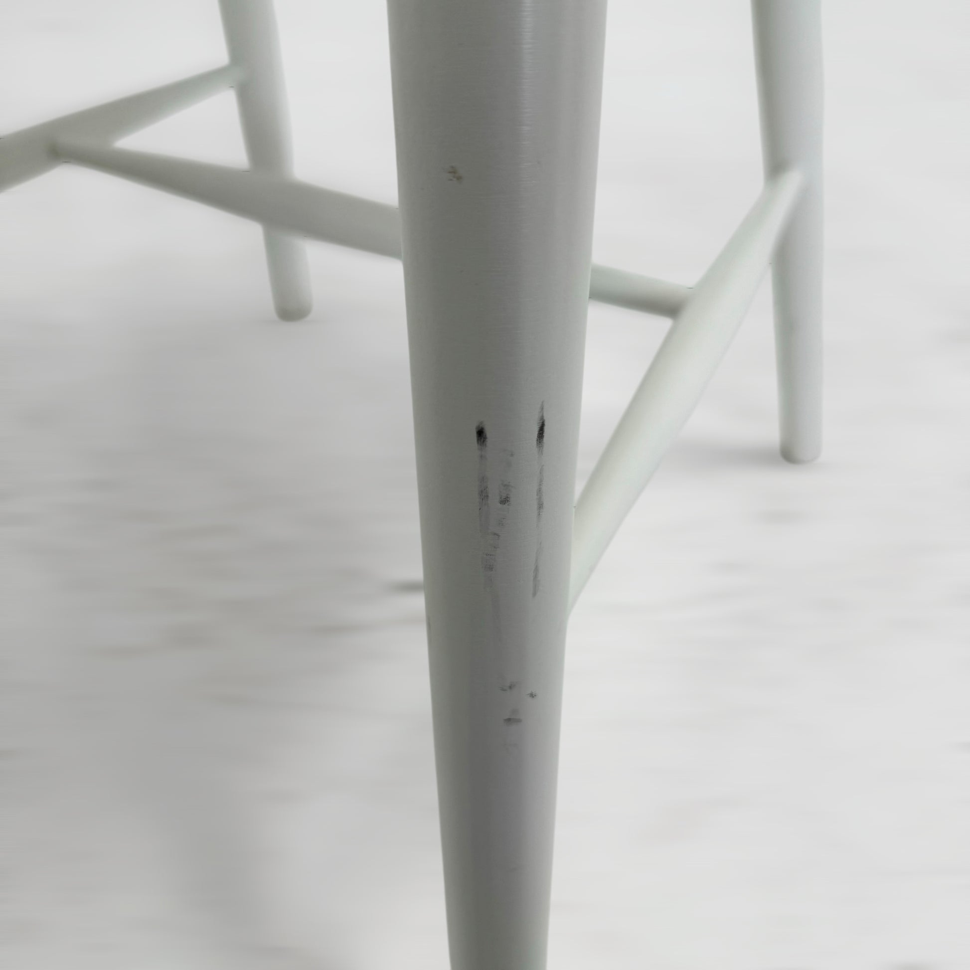 右後脚汚れ有り